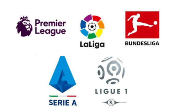 项目金牌 项目金牌